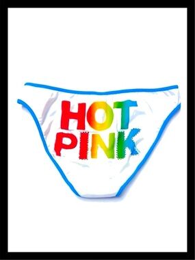 💕ⓅⒾⓃⓀ ⓋⓈ Vintage “HOT PINK” Low Rise Bikini Panties NWT💕